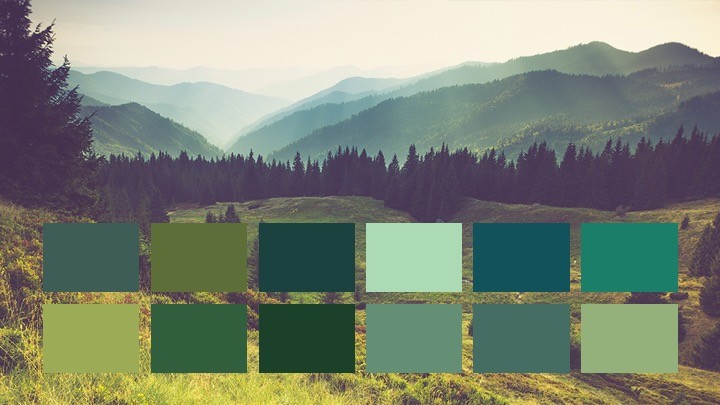 Discover Our Most Popular Green Paint Colors - Paintzen